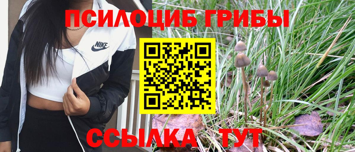 Галлюциногенные грибы Psilocybine cubensis Москва
