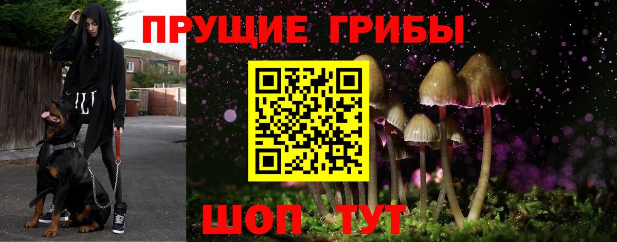 Москва  Псилоцибиновые грибы ЛСД  Вход с VPN 